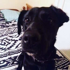 Meet your Posher, Manny